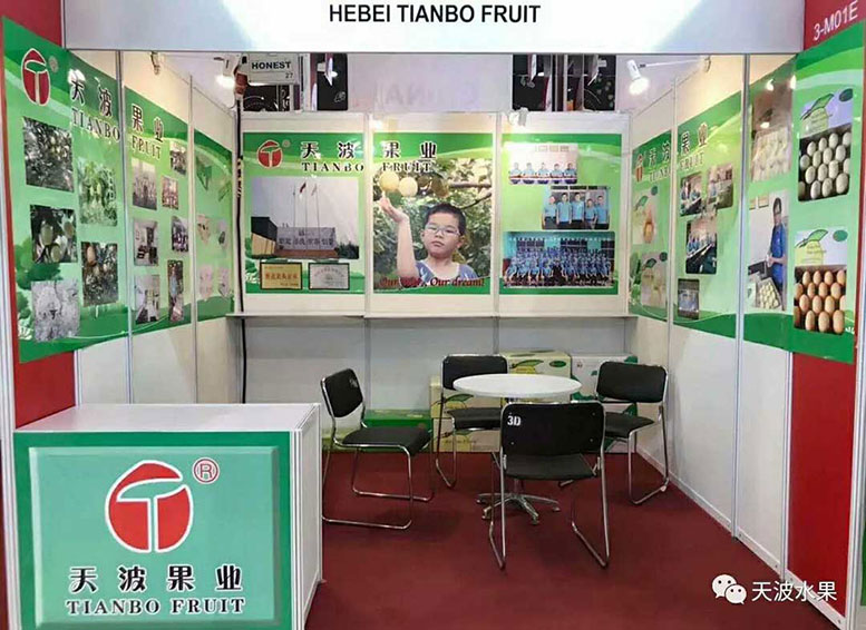 Tianbo fruit debut  in Asia fruit logistica