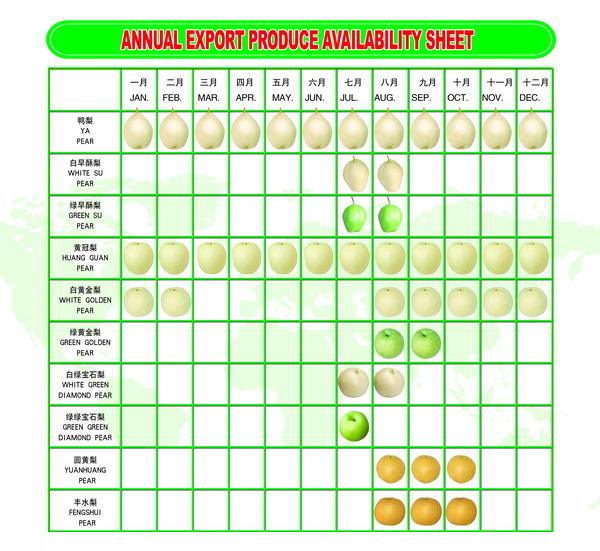 Supply Table