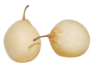Ya Pear